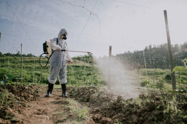 Best Best Pest Control Companies  in Gonzales, CA