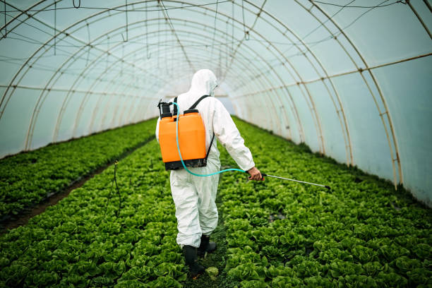 Best Pest Inspection Near Me  in Gonzales, CA