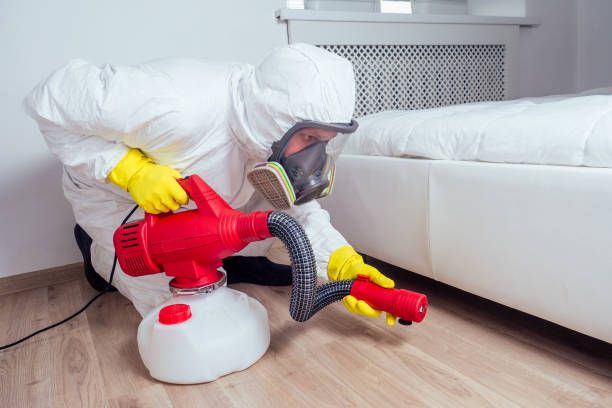 Flea Control Services in Gonzales, CA