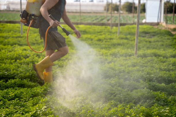 Best Best Pest Control Companies  in Gonzales, CA