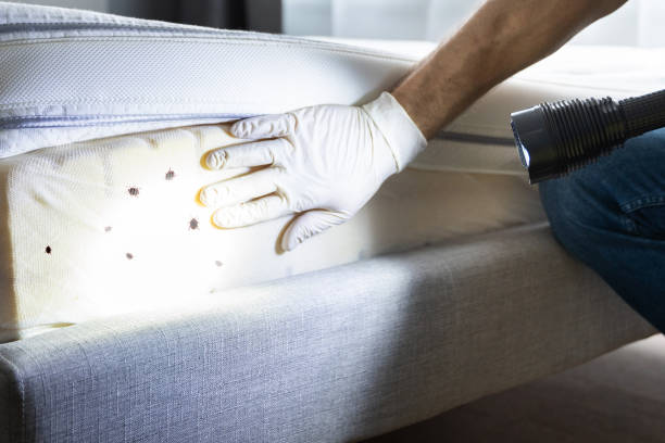 Best Bed Bug Extermination  in Gonzales, CA