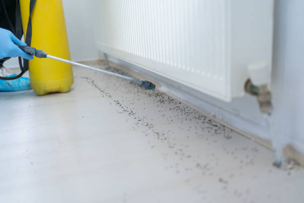Best Mosquito Control Services  in Gonzales, CA