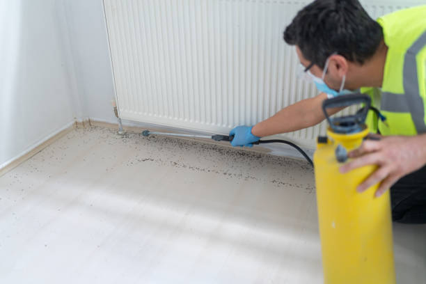 Best Pest Control Cost  in Gonzales, CA
