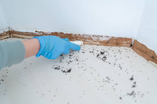 Pest Control Cost in Gonzales, CA